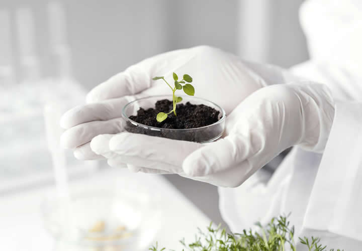 Scientific Rigor and Biomedical Research
